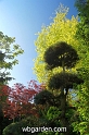 wbgarden spring 9